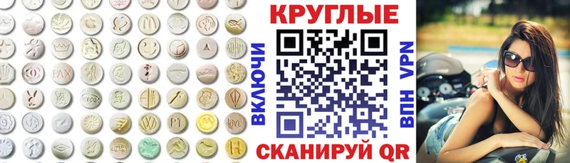 Экстази Philipp Plein  Кедровый 