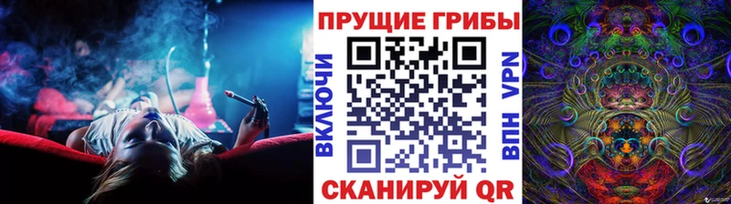 Псилоцибиновые грибы ЛСД  закладка  Кедровый 
